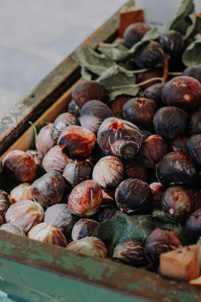 原生态无花果图片